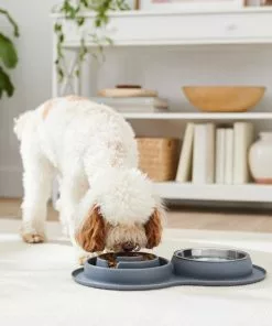 Frisco Silicone Slow Feeder Mat with Stainless Steel Bowl 9 Frisco Silicone Slow Feeder Mat with Stainless Steel Bowl -Pet Food Gear Shop 277549 PT2. SY630 V1630346823