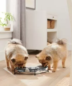 Frisco Curved Triple Feeder Stainless Steel Dog & Cat Bowl -Pet Food Gear Shop 277562 PT2. SY630 V1630347102