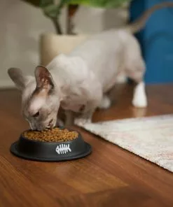 Frisco Fish Bone Print Non-Skid Stainless Steel Cat Bowl -Pet Food Gear Shop 277582 PT3. SY630 V1630348120