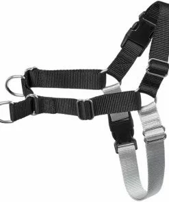 Frisco Basic No Pull Harness