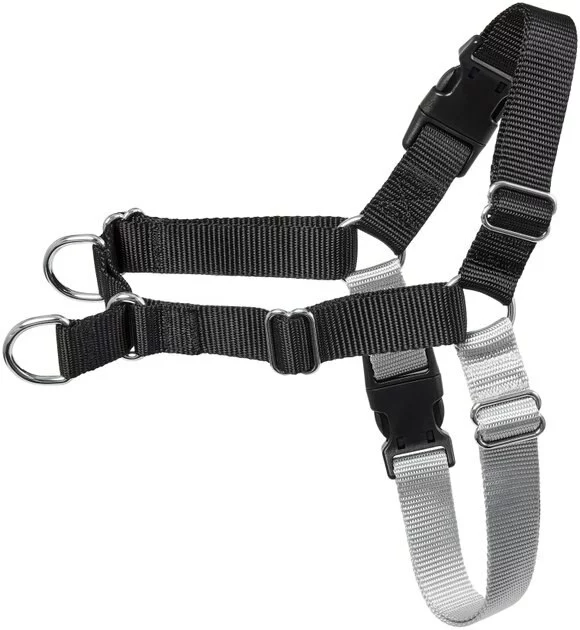 Frisco Basic No Pull Harness 3 Frisco Basic No Pull Harness