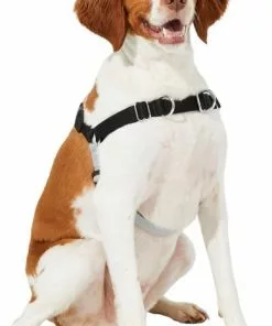 Frisco Basic No Pull Harness 10 Frisco Basic No Pull Harness -Pet Food Gear Shop 277871 PT3. SY630 V1629755870