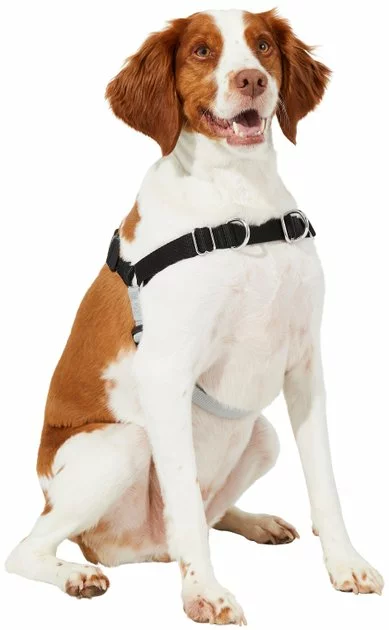 Frisco Basic No Pull Harness 6 Frisco Basic No Pull Harness - Image 4