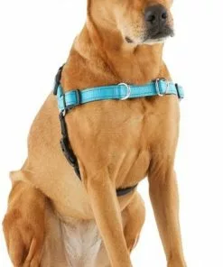Frisco Padded Reflective No Pull Harness -Pet Food Gear Shop 277892 PT3. SY630 V1629758833