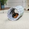 Frisco Small Pet Geometric Crinkle Plush Tunnel