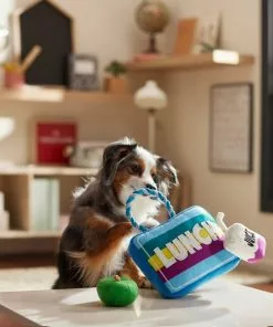 Frisco Lunchbox with Juice & Apple Plush with Rope Squeaky Dog Toy, 3 count -Pet Food Gear Shop 279427 PT3. SY630 V1628191372