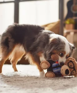 Frisco Bear Plush Squeaky Dog Toy -Pet Food Gear Shop 279433 PT3. SY630 V1628191002