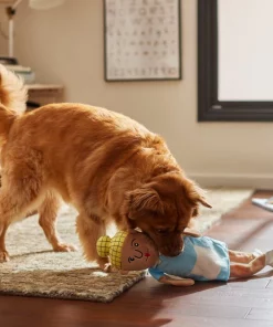 Frisco School Lunch Lady Plush Squeaky Dog Toy -Pet Food Gear Shop 279449 PT3. SY630 V1628191320