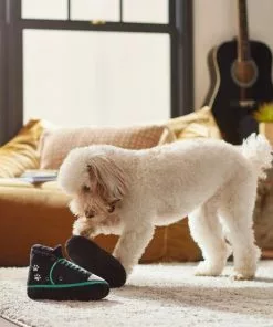 Frisco Sneakers Plush Squeaky Dog Toy, 2 count 7 Frisco Sneakers Plush Squeaky Dog Toy, 2 count -Pet Food Gear Shop 279453 PT3. SY630 V1628191213