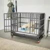 Frisco Ultimate Foldable & Stackable Heavy Duty Steel Metal Single Door Dog Crate 2 Frisco Ultimate Foldable & Stackable Heavy Duty Steel Metal Single Door Dog Crate -Pet Food Gear Shop 280102 MAIN. SY630 V1632851483