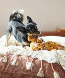 Frisco Kangaroo & Joey Plush Squeaky Dog Toy, 2 count -Pet Food Gear Shop 285601 PT3. SY630 V1629725095