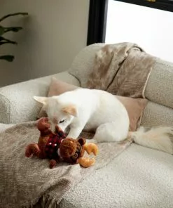 Frisco Hipster Moose Plush Squeaky Dog Toy -Pet Food Gear Shop 285603 PT3. SY630 V1629725389