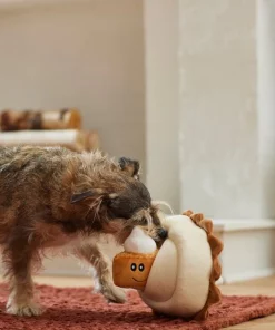 Frisco Grandma Sophie's Pumpkin Pie 2-in-1 Plush Squeaky Dog Toy -Pet Food Gear Shop 285607 PT3. SY630 V1629725085