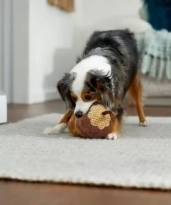 Frisco Fall Acorn Plush Squeaky Dog Toy 7 Frisco Fall Acorn Plush Squeaky Dog Toy -Pet Food Gear Shop 285623 PT3. SY630 V1629725222