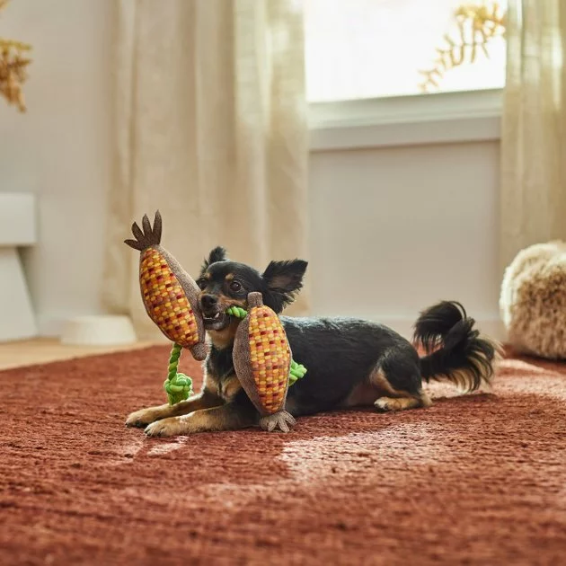 Frisco Fall Harvest Corn Plush with Rope Plush with Rope Squeaky Dog Toy 5 Frisco Fall Harvest Corn Plush with Rope Plush with Rope Squeaky Dog Toy - Image 3