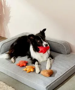 Frisco Fall Leaves Plush Squeaky Dog Toy, 4 count -Pet Food Gear Shop 285637 PT3. SY630 V1629725195