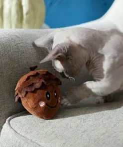 Frisco Fall Acorn Plush Cat Toy with Catnip -Pet Food Gear Shop 285645 PT3. SY630 V1629725413
