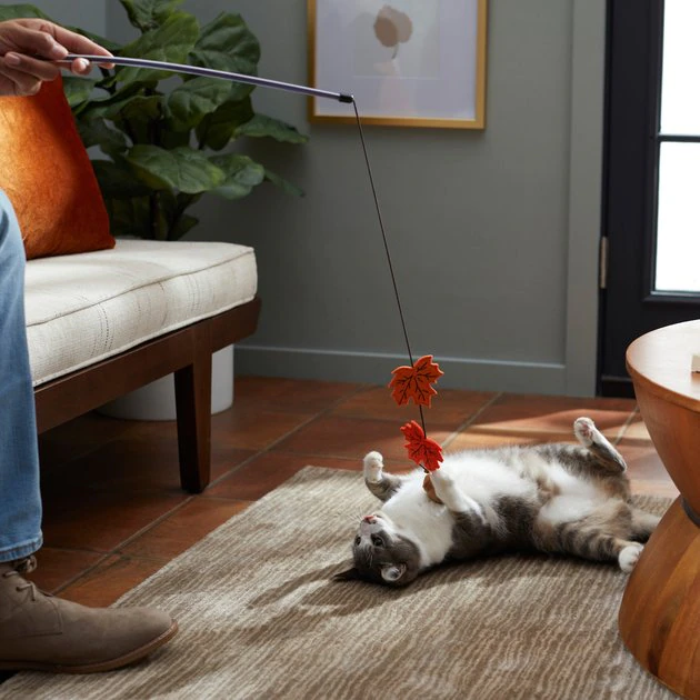 Frisco Fall Acorn & Leaves Teaser Cat Toy with Catnip 5 Frisco Fall Acorn & Leaves Teaser Cat Toy with Catnip - Image 3