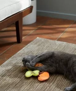 Frisco Fall Harvest Plush Cat Toy with Catnip, 3 count 7 Frisco Fall Harvest Plush Cat Toy with Catnip, 3 count -Pet Food Gear Shop 285655 PT3. SY630 V1629725260