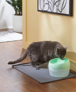 Frisco Whimsical Leaf Round Dog & Cat Fountain, 50-oz, Mint Green