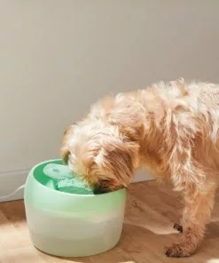 Frisco Whimsical Leaf Round Dog & Cat Fountain, 50-oz, Mint Green -Pet Food Gear Shop 285758 PT4. SY630 V1623428580