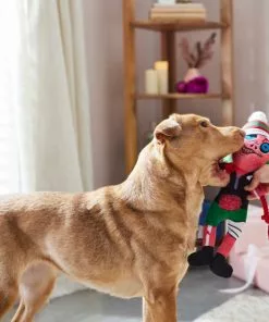 Frisco Zombie Plush with Rope Squeaky Dog Toy -Pet Food Gear Shop 287221 PT3. SY630 V1632776815