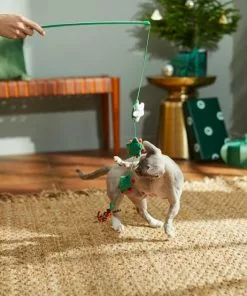 Frisco Holiday Winter Flowers Teaser Cat Toy with Catnip -Pet Food Gear Shop 287275 PT3. SY630 V1632774653