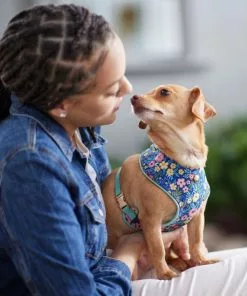 Frisco Fashion Over-The-Head Harness, Tropical Floral -Pet Food Gear Shop 287471 PT8. SY630 V1632316061