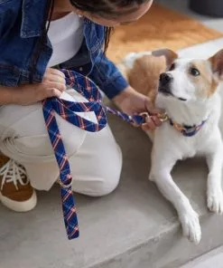 Frisco Fashion Leash, Brown Plaid -Pet Food Gear Shop 287491 PT8. SY630 V1632317010