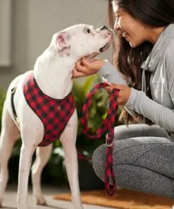 Frisco Fashion Leash, Buffalo Plaid -Pet Food Gear Shop 287498 PT8. SY630 V1632315183