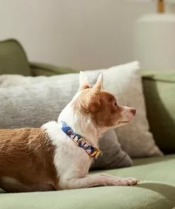 Frisco Fashion Collar, Pink Plaid -Pet Food Gear Shop 287510 PT8. SY630 V1632316374