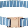 Frisco Fashion Collar, Striped -Pet Food Gear Shop 287511 MAIN. SY630 V1632316934