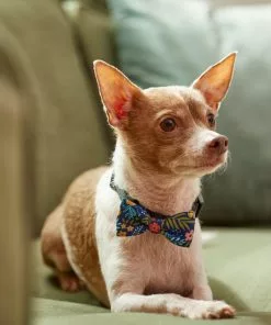 Frisco Fashion Bow, Tropical Floral -Pet Food Gear Shop 287529 PT8. SY630 V1632315568