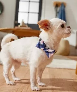 Frisco Fashion Bow, Pink Plaid -Pet Food Gear Shop 287531 PT8. SY630 V1632315820