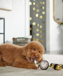 Frisco New Year's Eve Midnight Countdown Plush with Rope Squeaky Dog Toy 7 Frisco New Year's Eve Midnight Countdown Plush with Rope Squeaky Dog Toy -Pet Food Gear Shop 288478 PT3. SY630 V1638289625