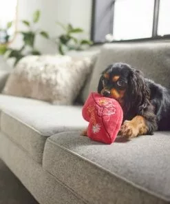 Frisco New Year's Eve Midnight Kiss Plush Squeaky Dog Toy -Pet Food Gear Shop 288482 PT3. SY630 V1638291887