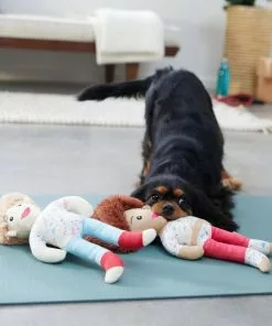 Frisco Dance Girls Plush Squeaky Dog Toy, 2 count -Pet Food Gear Shop 288899 PT3. SY630 V1638288432