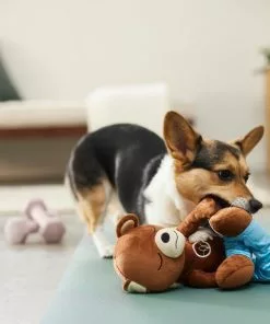 Frisco Yoga Bear Plush Squeaky Dog Toy -Pet Food Gear Shop 288903 PT3. SY630 V1638288516