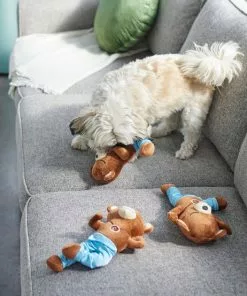 Frisco Yoga Bear Plush Squeaky Dog Toy, 3 count -Pet Food Gear Shop 288905 PT3. SY630 V1638291398