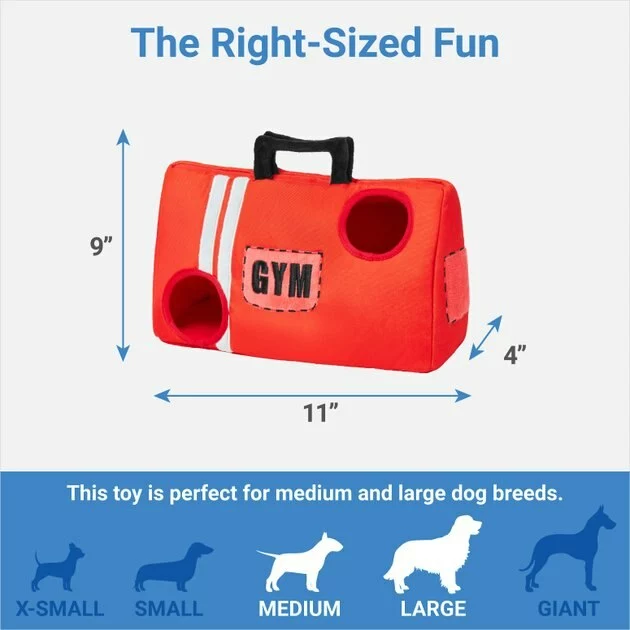 Frisco Gym Bag Hide & Seek Puzzle Plush Squeaky Dog Toy 4 Frisco Gym Bag Hide & Seek Puzzle Plush Squeaky Dog Toy - Image 2