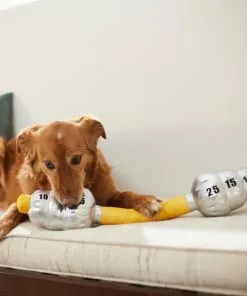 Frisco Weight Bar Wagazoo Plush Squeaky Dog Toy 7 Frisco Weight Bar Wagazoo Plush Squeaky Dog Toy -Pet Food Gear Shop 288917 PT3. SY630 V1638292413