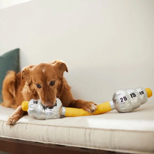 Frisco Weight Bar Wagazoo Plush Squeaky Dog Toy 5 Frisco Weight Bar Wagazoo Plush Squeaky Dog Toy - Image 3