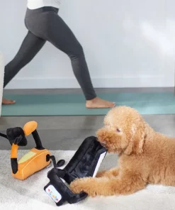 Frisco Treadmill & Bike Plush Squeaky Dog Toy, 2 count -Pet Food Gear Shop 288921 PT3. SY630 V1638290517