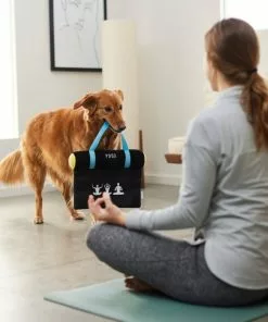 Frisco Yoga Mat Plush Squeaky Dog Toy -Pet Food Gear Shop 288923 PT3. SY630 V1638290551