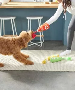 Frisco Juice Cleanse Plush Squeaky Dog Toy, 3 count 7 Frisco Juice Cleanse Plush Squeaky Dog Toy, 3 count -Pet Food Gear Shop 288929 PT3. SY630 V1638289348