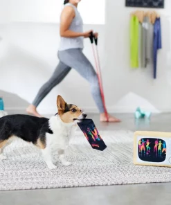 Frisco TV & VHS Tape Plush Squeaky Dog Toy, 2 count -Pet Food Gear Shop 288935 PT3. SY630 V1638291435