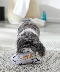 Frisco Message Bubble Plush Squeaky Dog Toy -Pet Food Gear Shop 288941 PT3. SY630 V1638289328