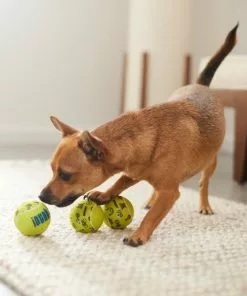 Frisco Motivational Tennis Balls Plush Squeaky Dog Toy, 3 count -Pet Food Gear Shop 288943 PT3. SY630 V1638288373