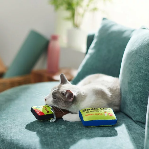 Frisco Protein Bar & Gym Membership Plush Cat Toy with Catnip 6 Frisco Protein Bar & Gym Membership Plush Cat Toy with Catnip - Image 4