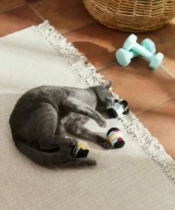 Frisco Pre-Workout & Protein Plush Cat Toy with Catnip, 3 count -Pet Food Gear Shop 288953 PT3. SY630 V1638287817